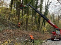 Großeinsatz für die Gehölzpfleger am Isarhang bei Grünwald