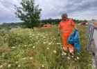 Müll sammeln am Straßenrand