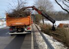 Gehölzpflegearbeiten am Straßenrand